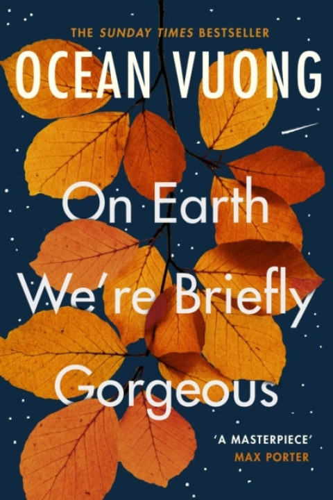 Omslag: On Earth We're Briefly Gorgeous