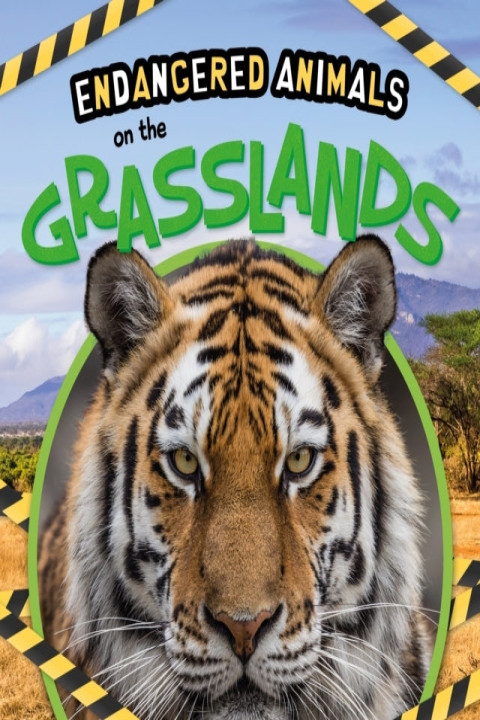 Omslag: On The Grasslands