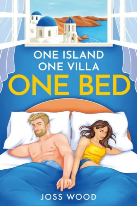 Omslag: One Bed
