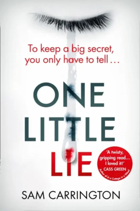 Omslag: ONE LITTLE LIE PB