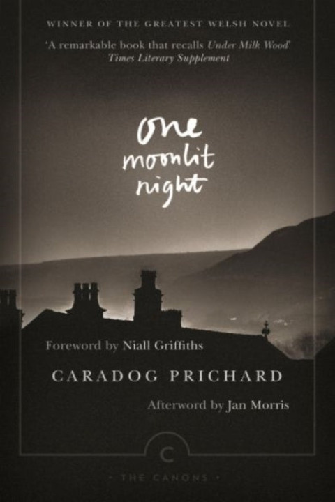 Omslag: One Moonlit Night