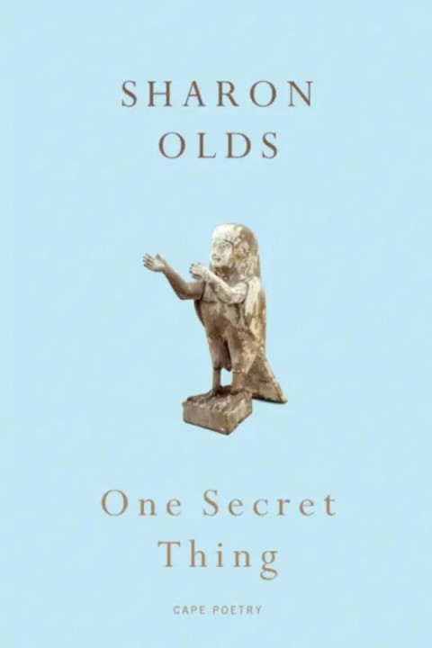 Omslag: One Secret Thing