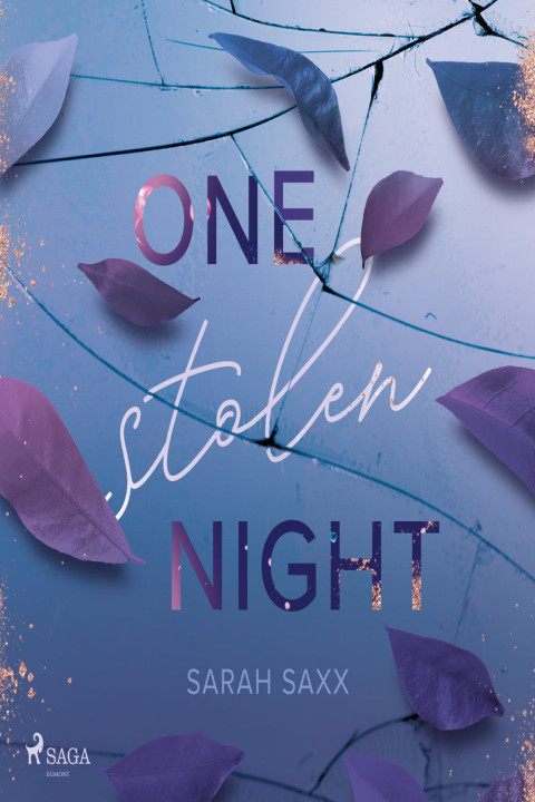 Omslag: One Stolen Night