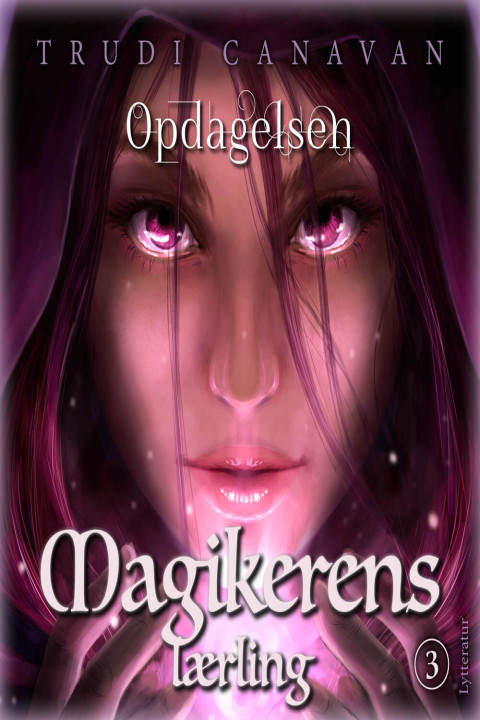 Omslag: Opdagelsen