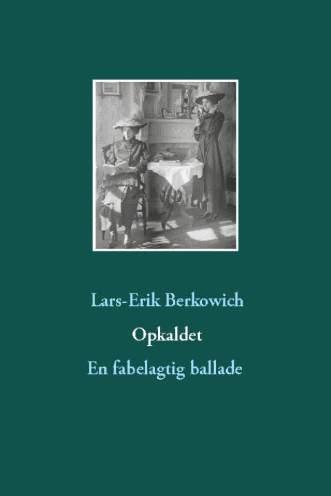 Omslag: Opkaldet