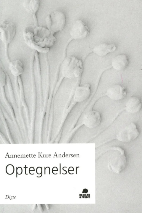 Omslag: Optegnelser