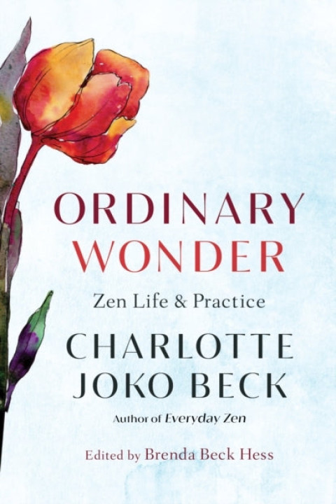 Omslag: Ordinary Wonder