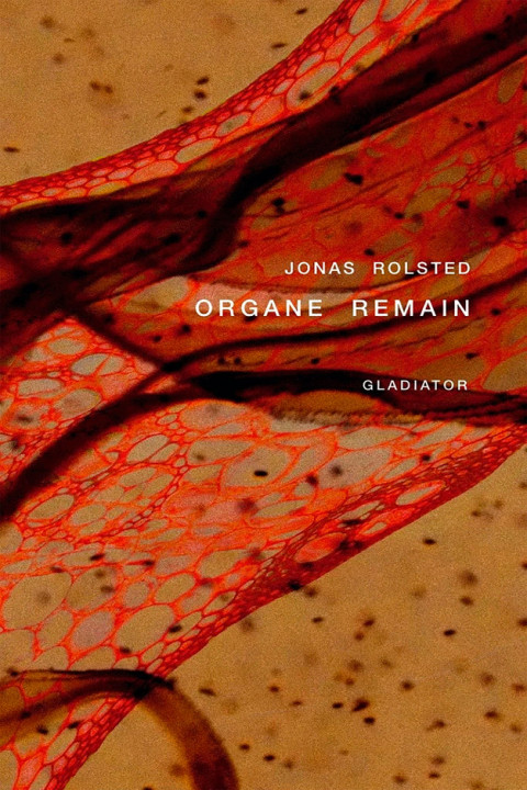 Omslag: Organe Remain