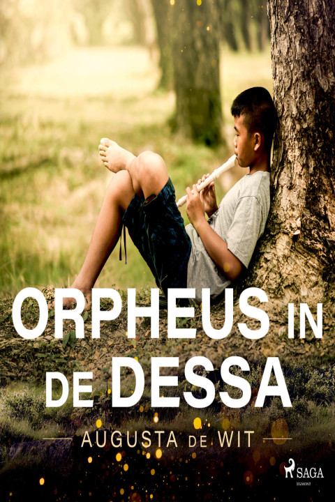 Omslag: Orpheus in de dessa