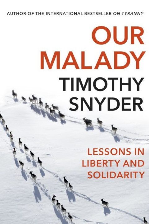 Omslag: Our Malady