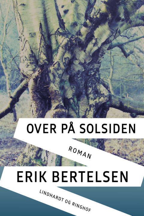 Omslag: Over på solsiden