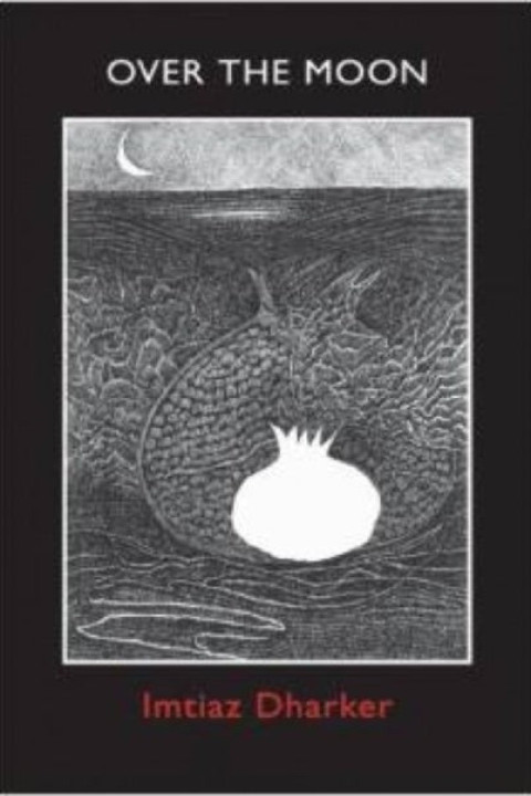 Omslag: Over The Moon