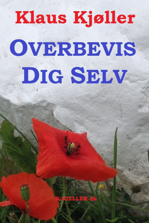 Omslag: Overbevis dig selv