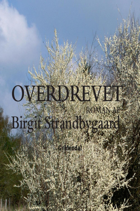 Omslag: Overdrevet