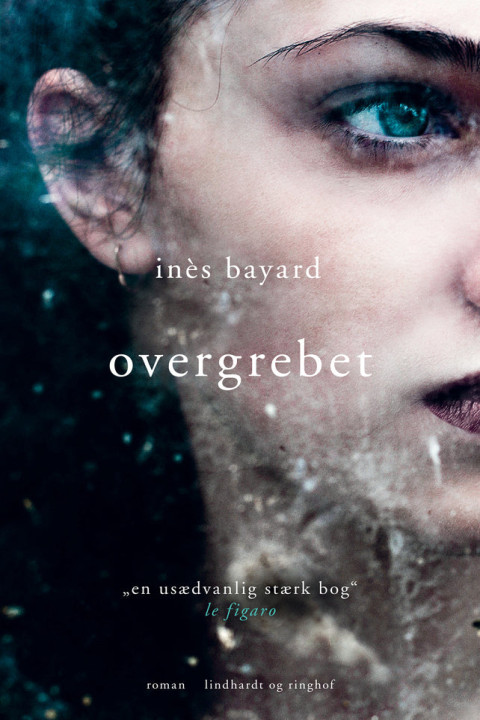 Omslag: Overgrebet