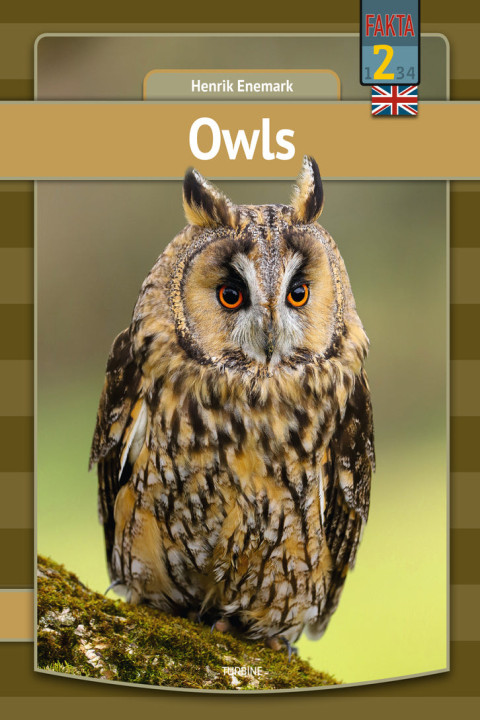 Omslag: Owls