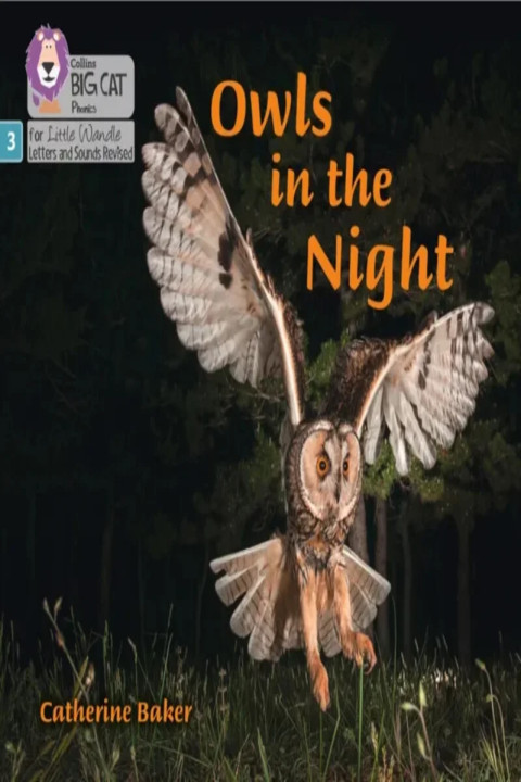 Omslag: Owls in the Night - Phase 3 Set 2
