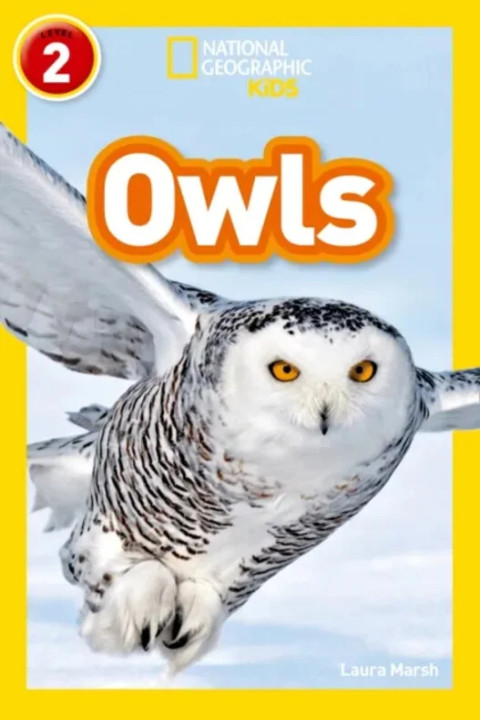Omslag: Owls - Level 2