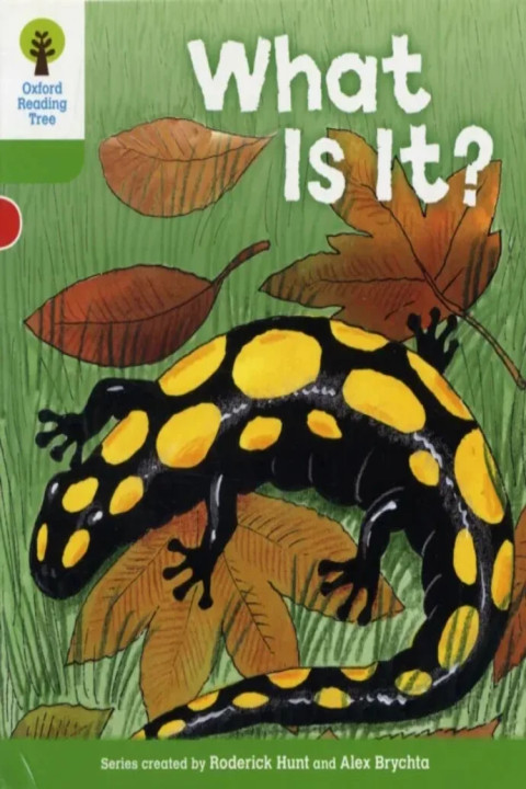 Omslag: Oxford Reading Tree: Level 2: More Patterned Stories A: What Is It?