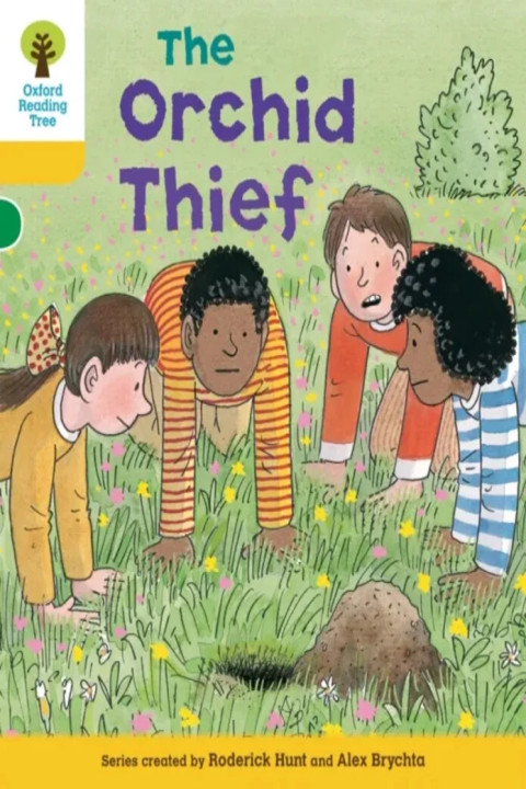 Omslag: Oxford Reading Tree: Level 5: Decode and Develop The Orchid Thief