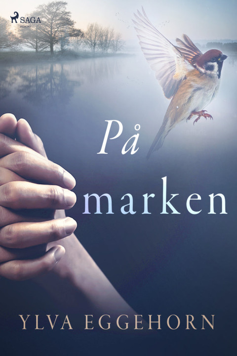 Omslag: På marken