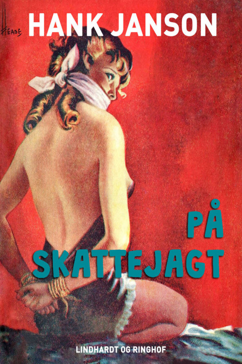 Omslag: På skattejagt