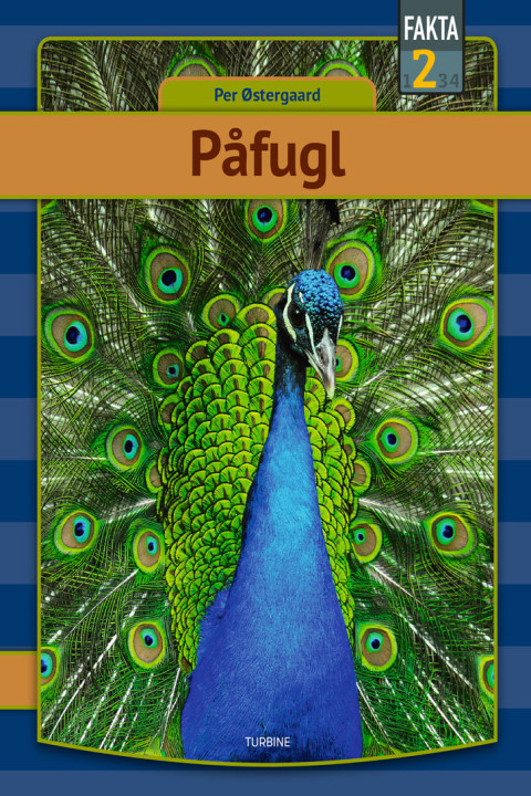 Omslag: Påfugl