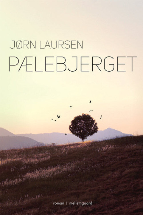 Omslag: Pælebjerget