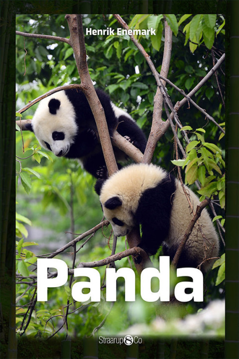 Omslag: Panda