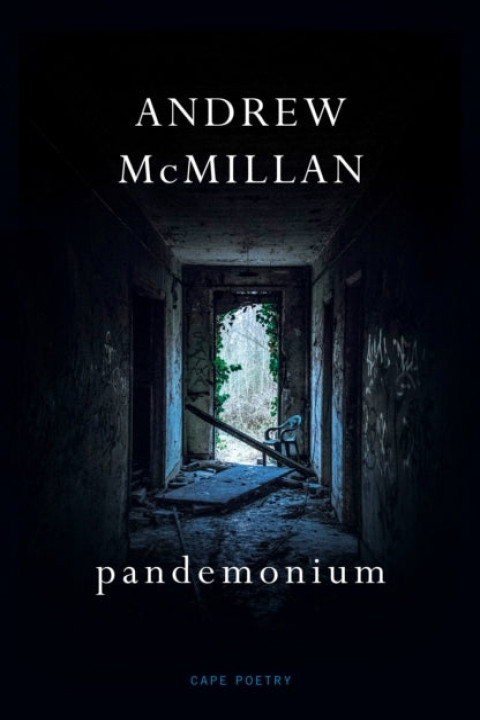 Omslag: pandemonium