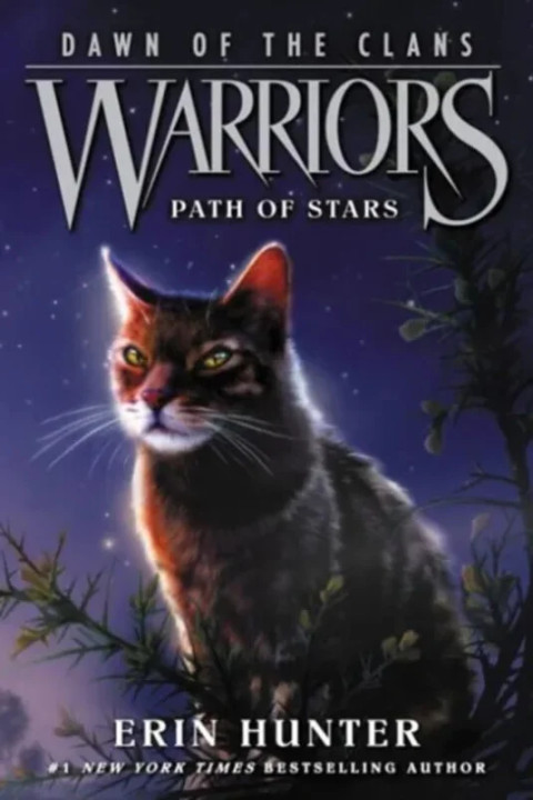 Omslag: Path of Stars