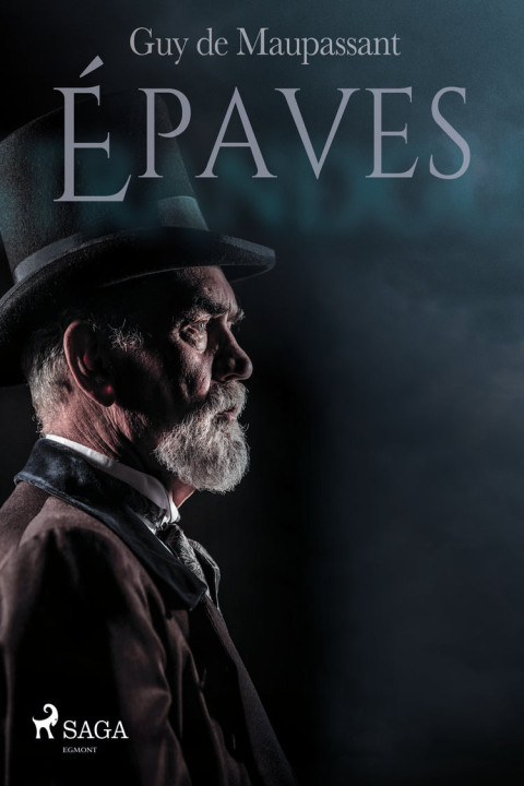 Omslag: Ãpaves