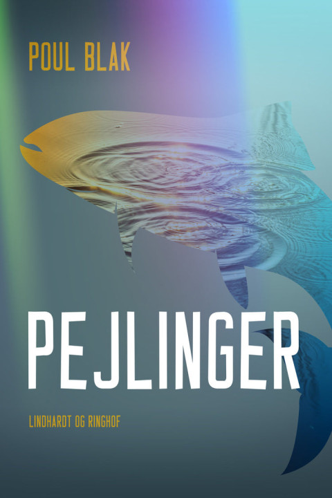 Omslag: Pejlinger