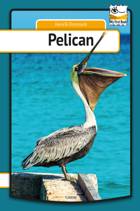 Omslag: Pelican