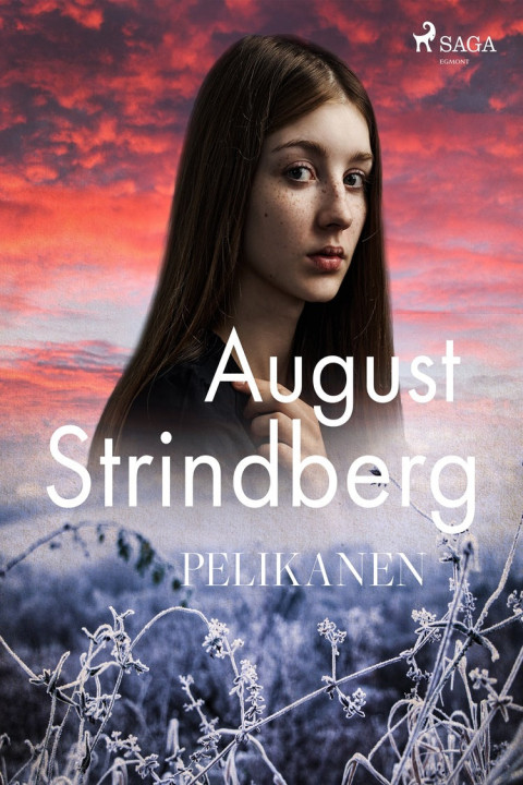 Omslag: Pelikanen