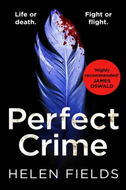 Omslag: Perfect Crime