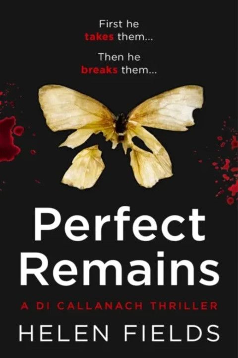Omslag: Perfect Remains