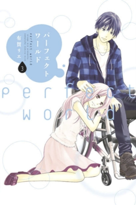 Omslag: Perfect World 3