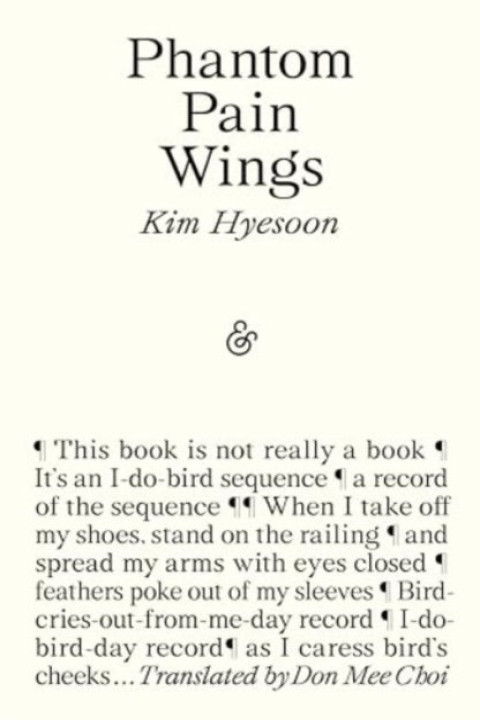 Omslag: Phantom Pain Wings