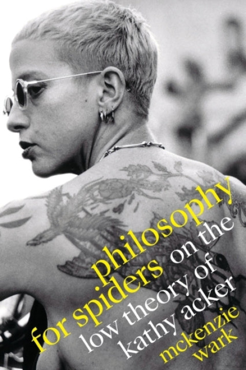 Omslag: Philosophy for Spiders