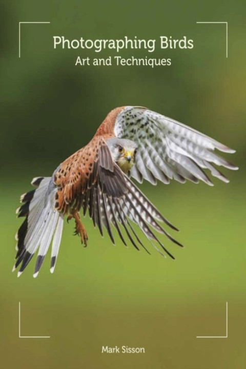 Omslag: Photographing Birds