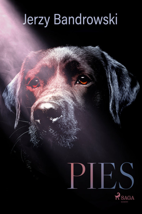 Omslag: Pies
