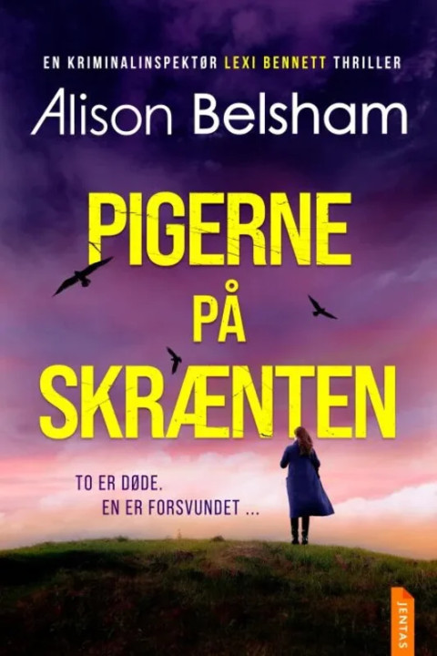Omslag: Pigerne på skrænten