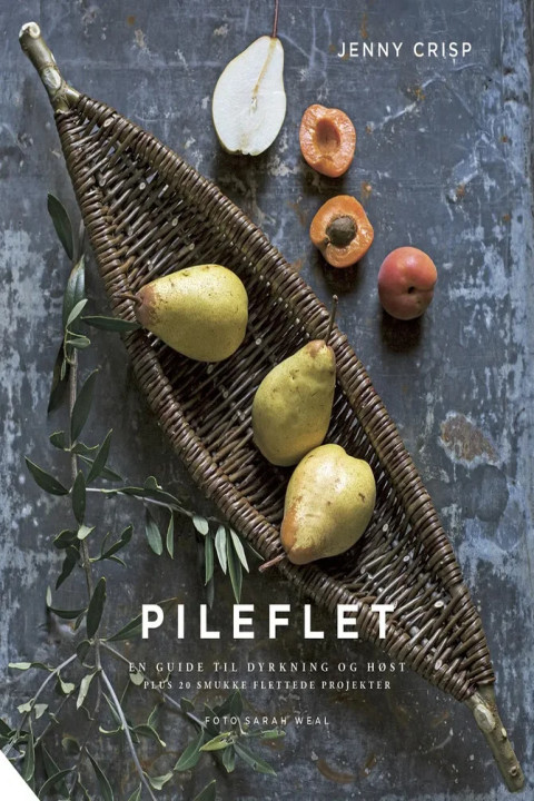 Omslag: Pileflet