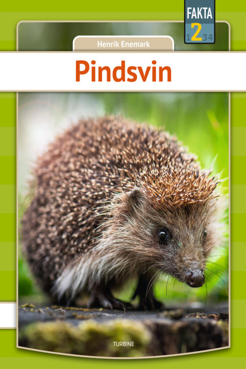 Omslag: Pindsvin
