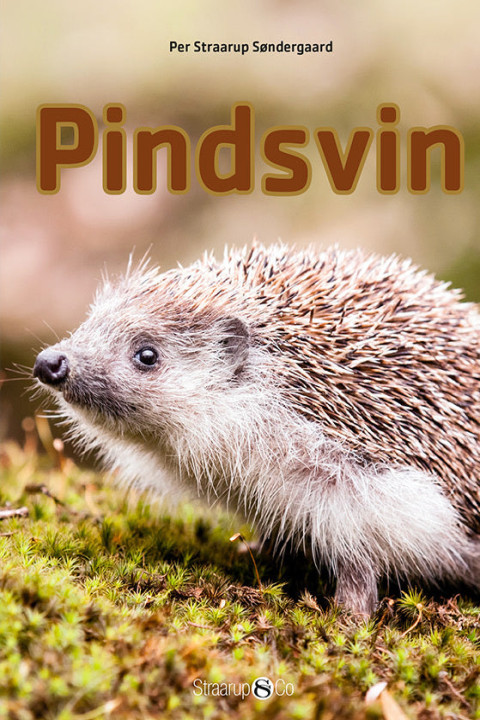 Omslag: Pindsvin