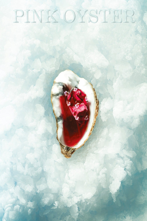 Omslag: Pink Oyster