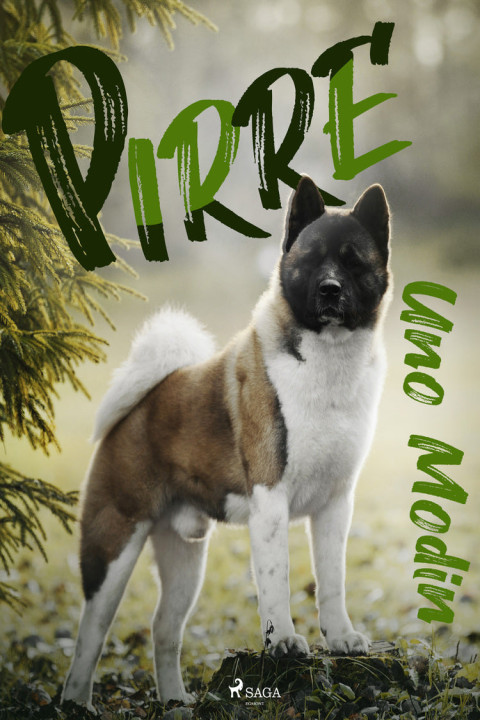 Omslag: Pirre