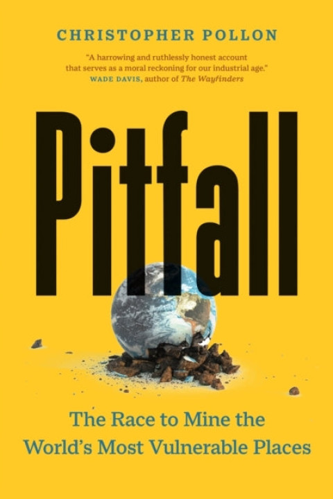 Omslag: Pitfall