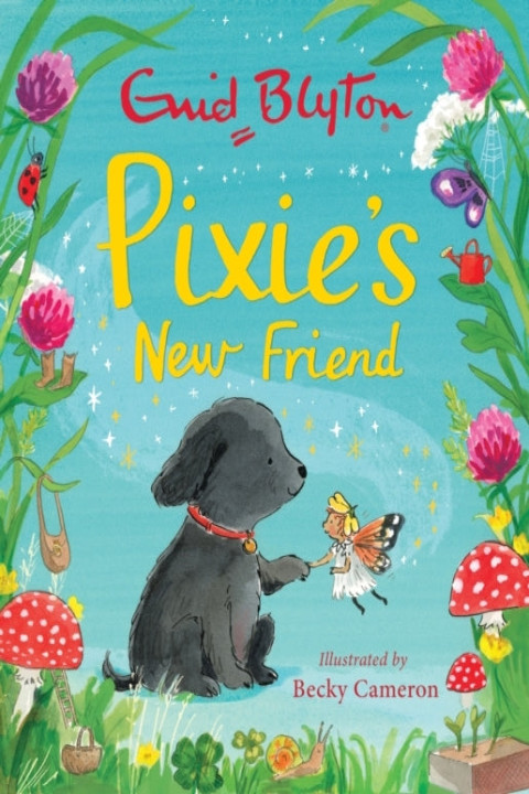 Omslag: Pixie's New Friend